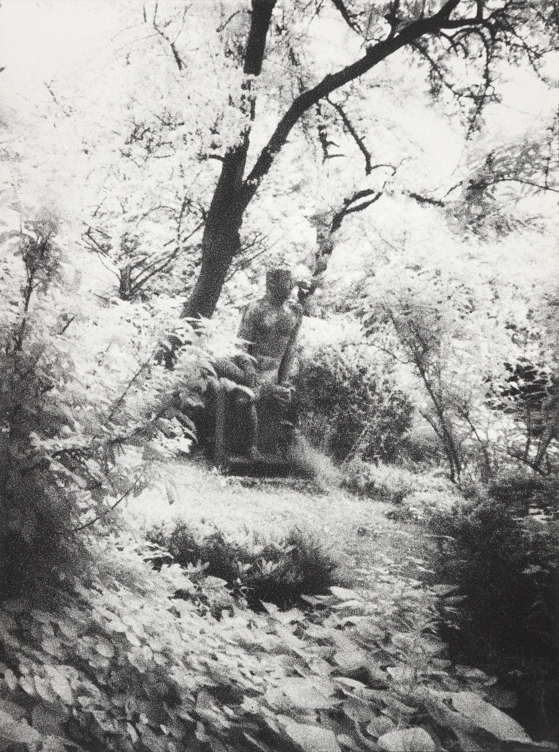 In Altenbourgs Garten VII - Ulrich Lindner 