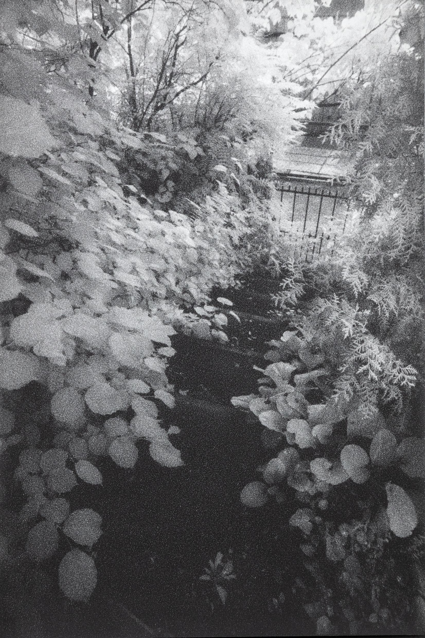 In Altenbourgs Garten VI - Ulrich Lindner 