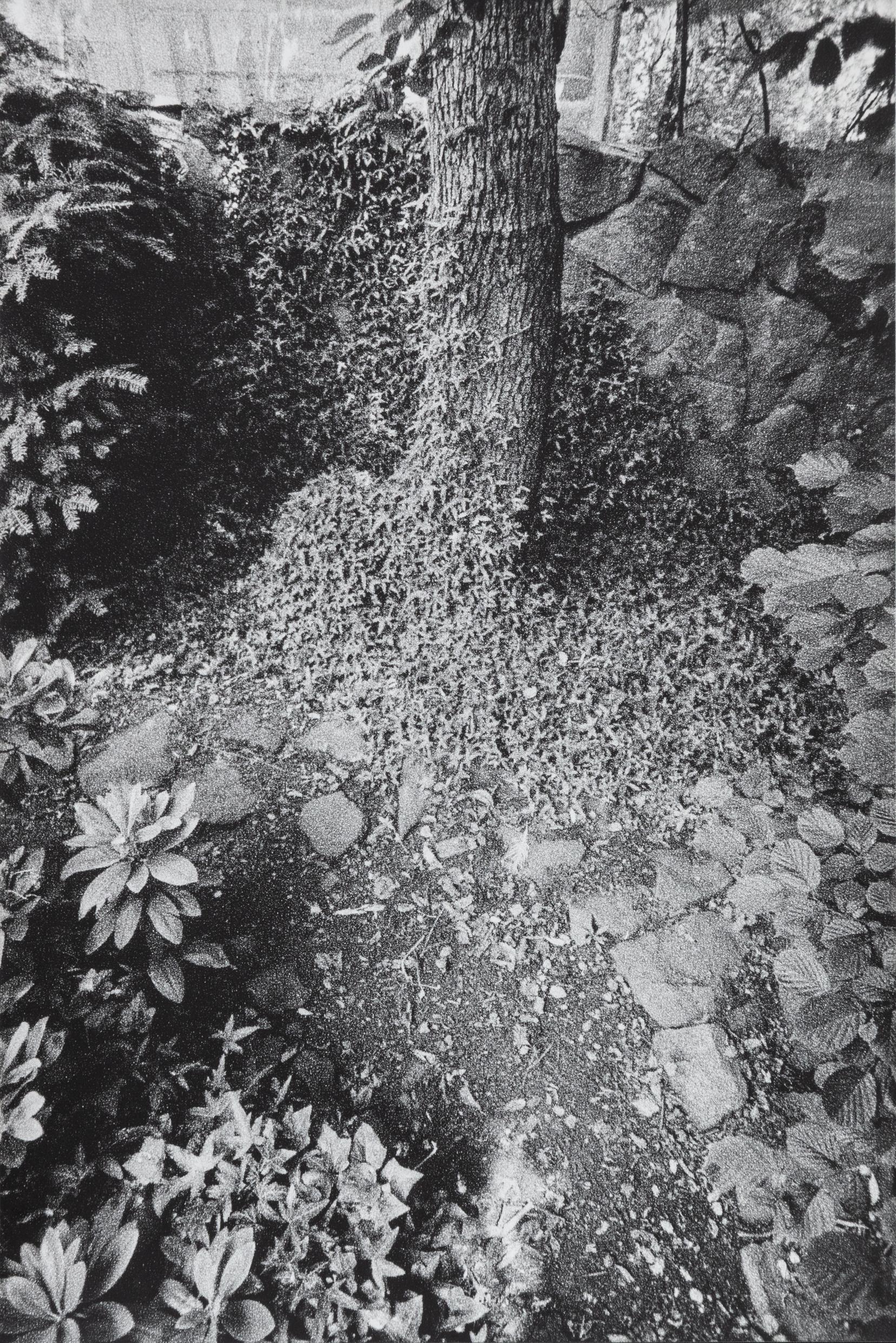 In Altenbourgs Garten V - Ulrich Lindner 