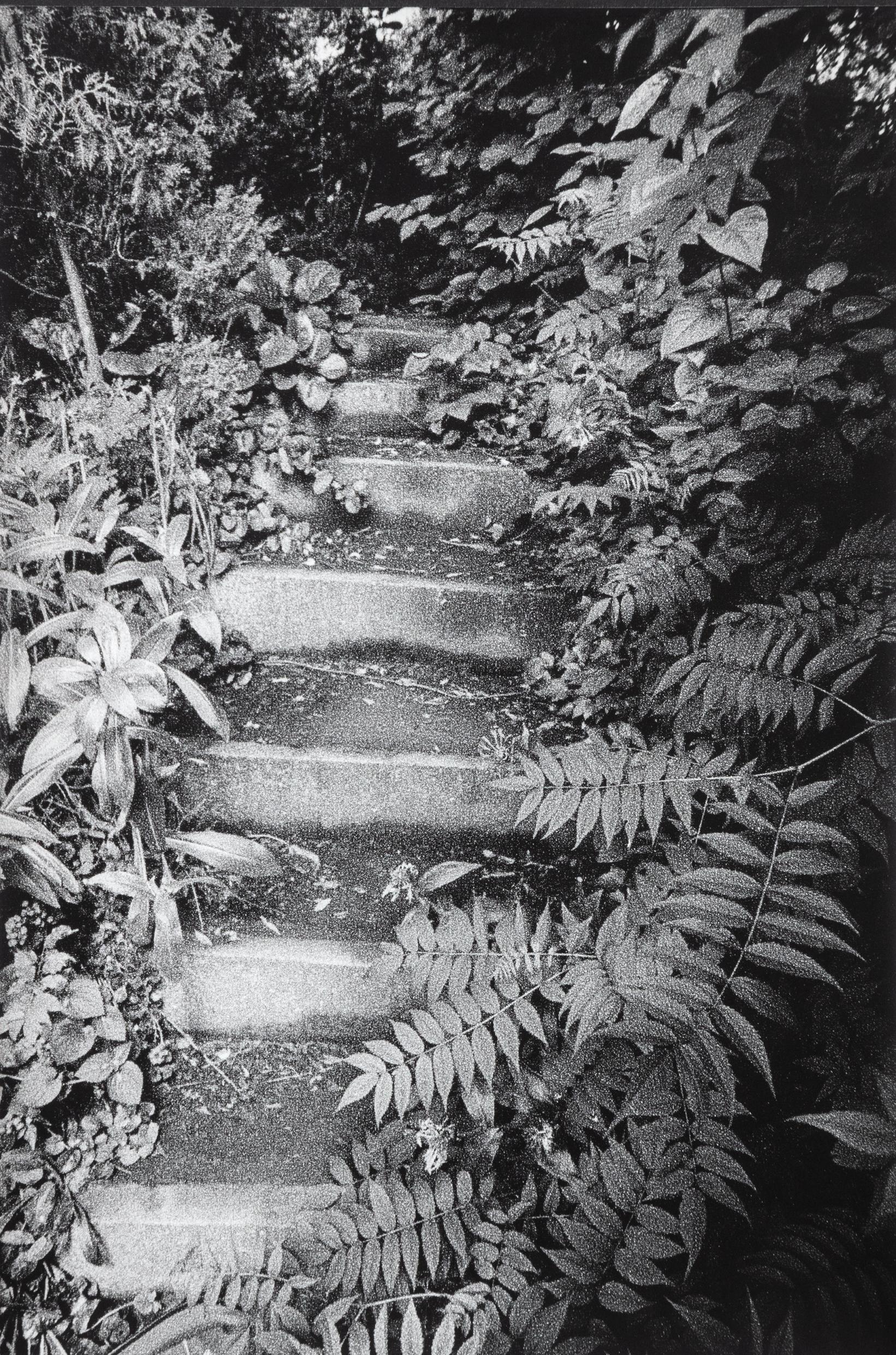 In Altenbourgs Garten II - Ulrich Lindner 