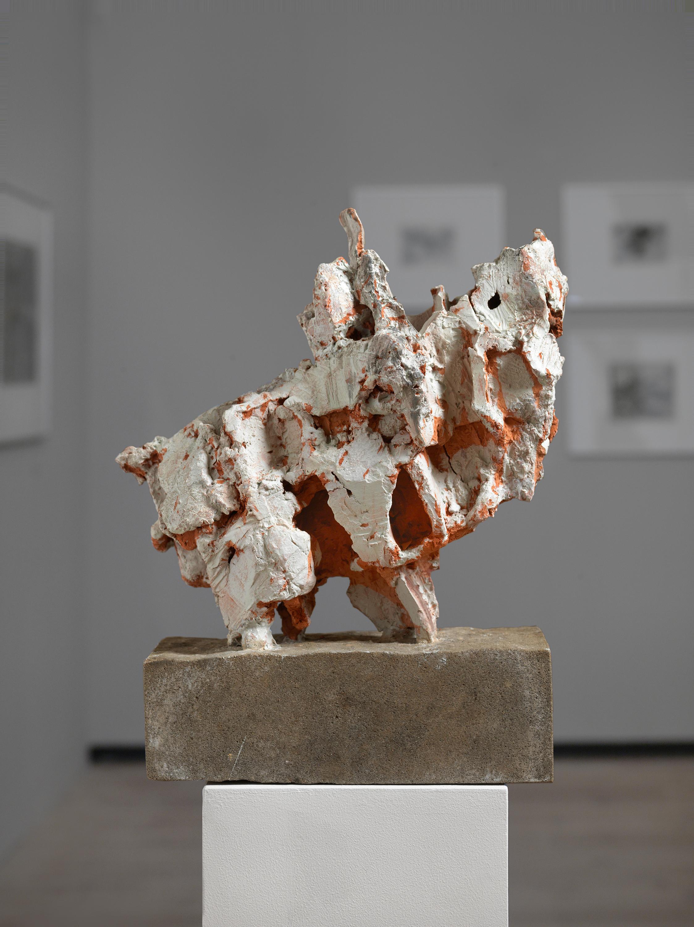Galopp - Sylvia Hagen 
