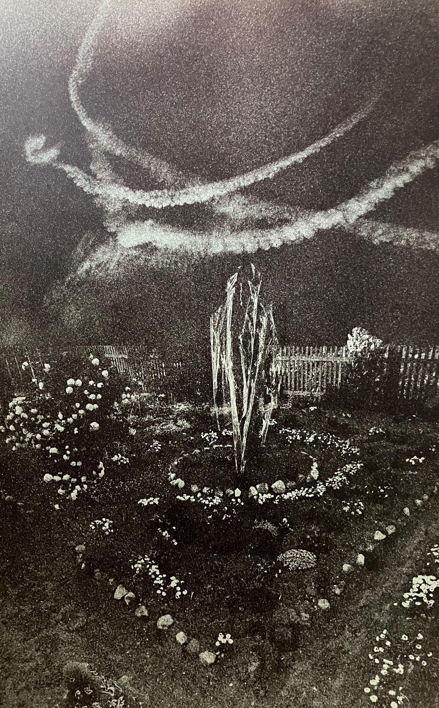 Garten der Arglosigkeit - Ulrich Lindner 