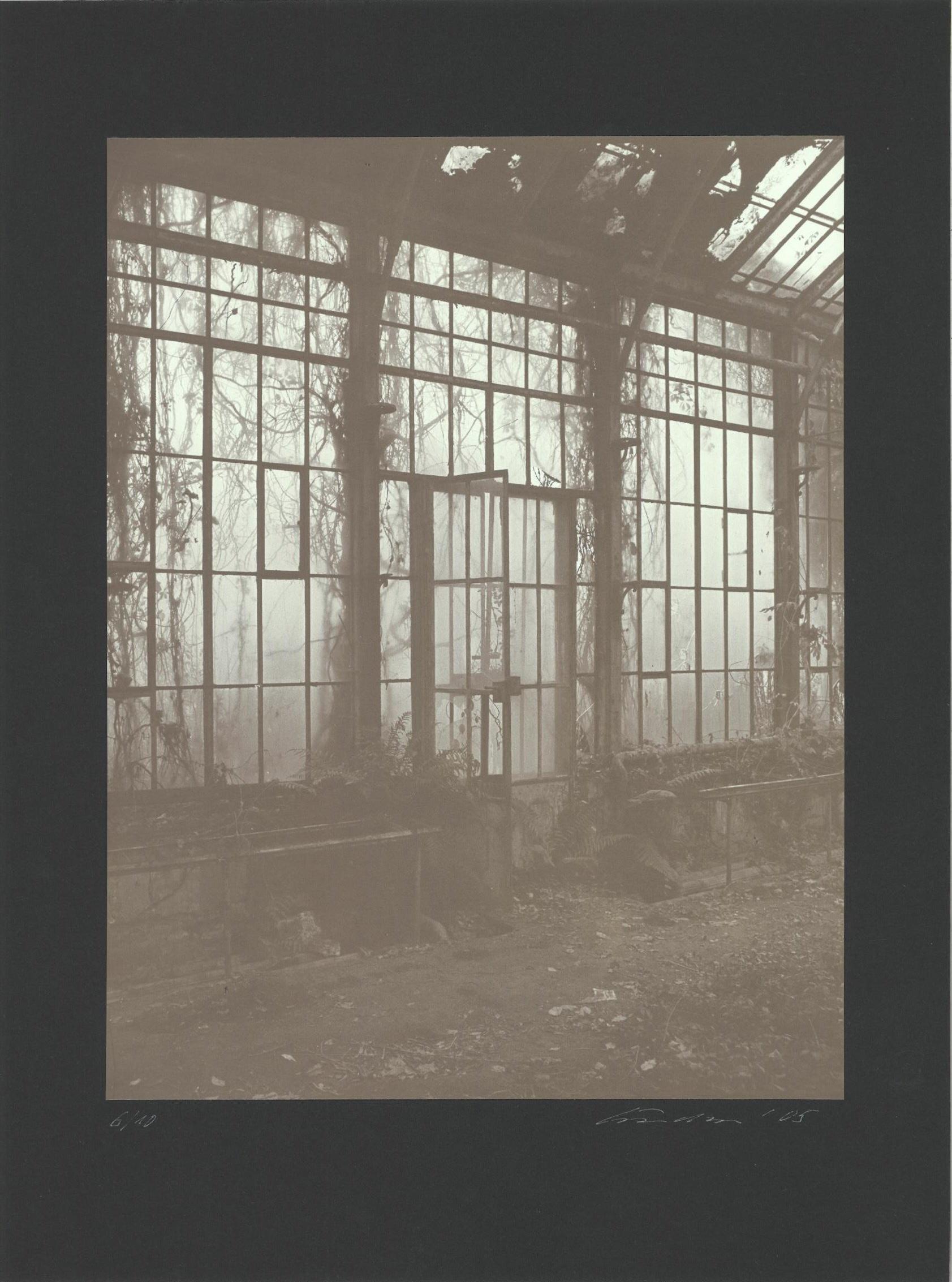 o. T. (Editionsblatt zur Kassette „Im Treibhaus“ von Dieter Hoffmann) - Ulrich Lindner 